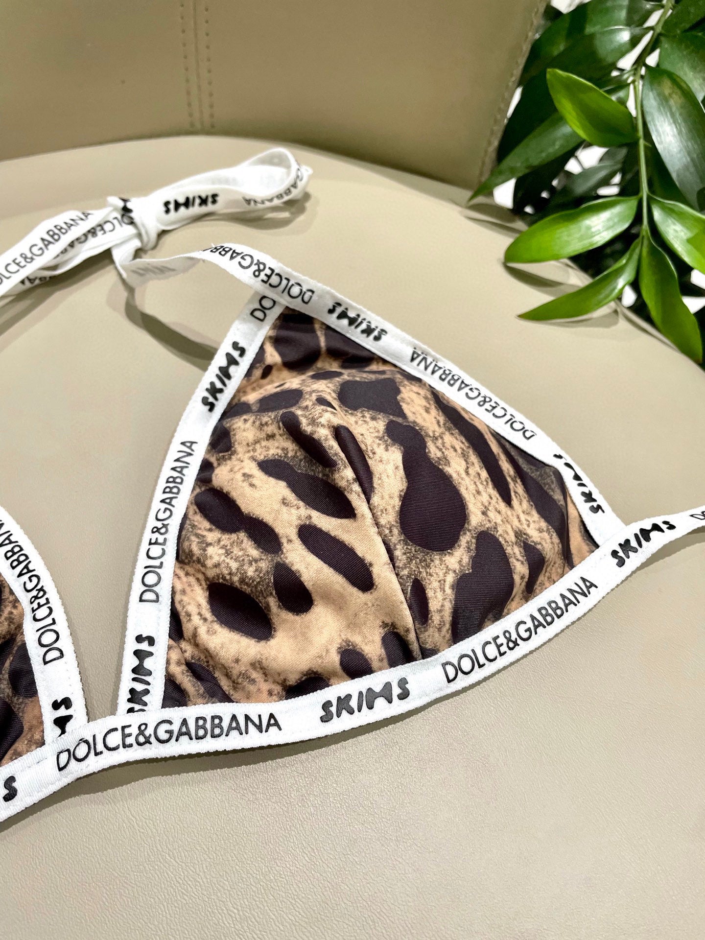 Dg Swimsuit